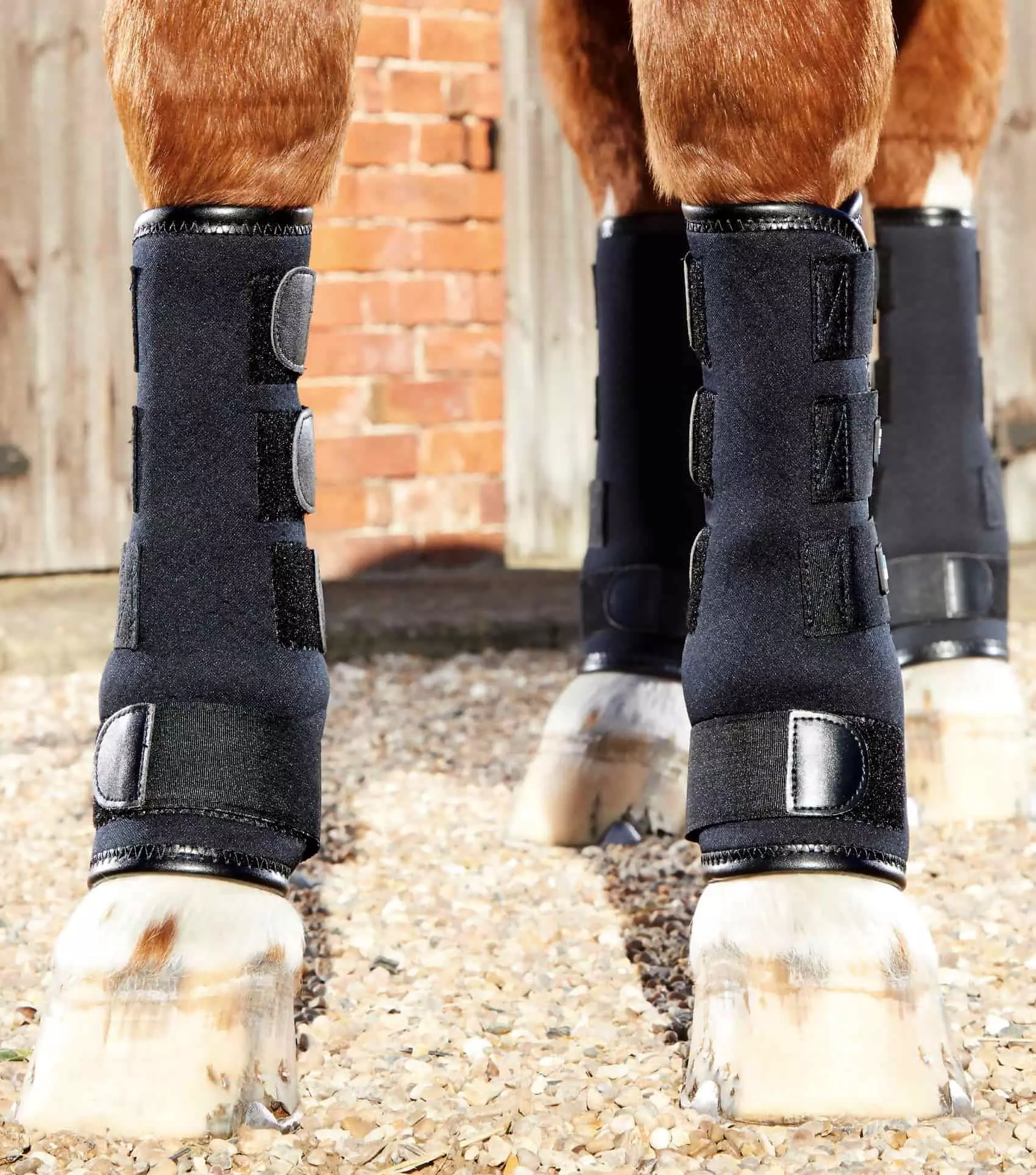 Premier Equine Turnout Boots