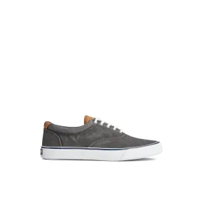 Striper II CVO Sneaker